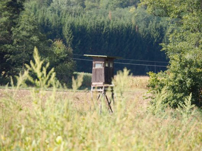 Ambona leśnicza (myśliwska)